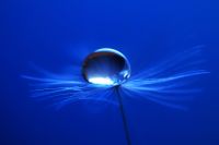 Water Drop